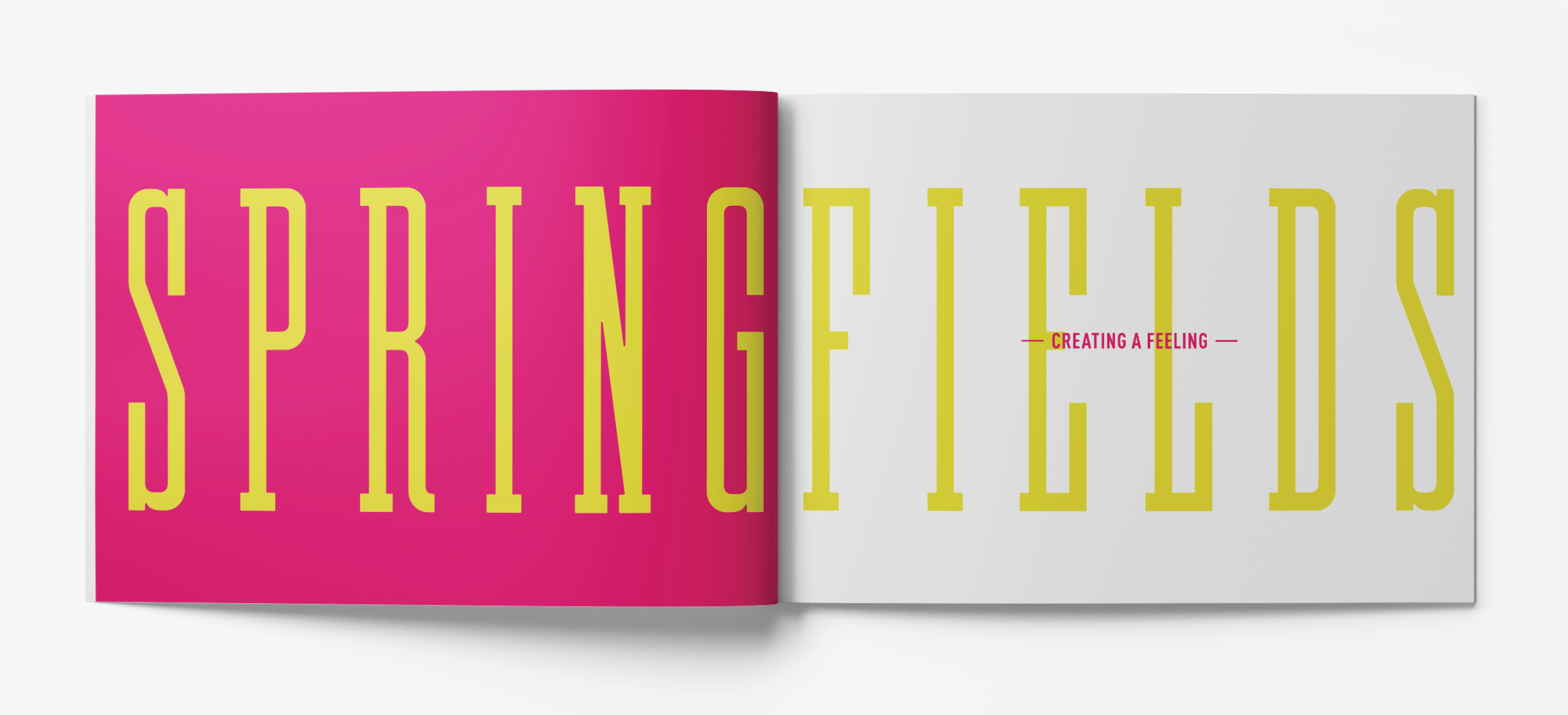 Springfields Brochure