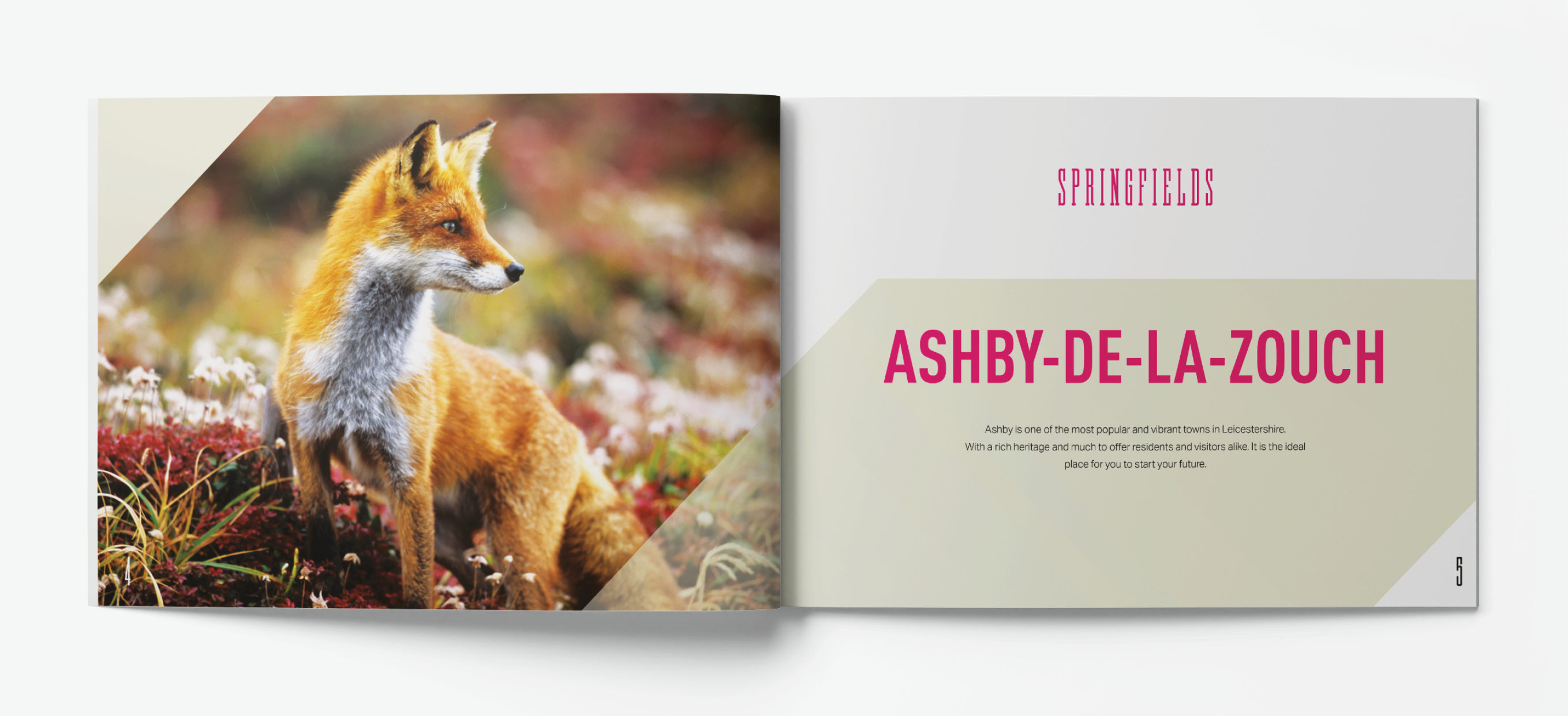 Springfields Brochure