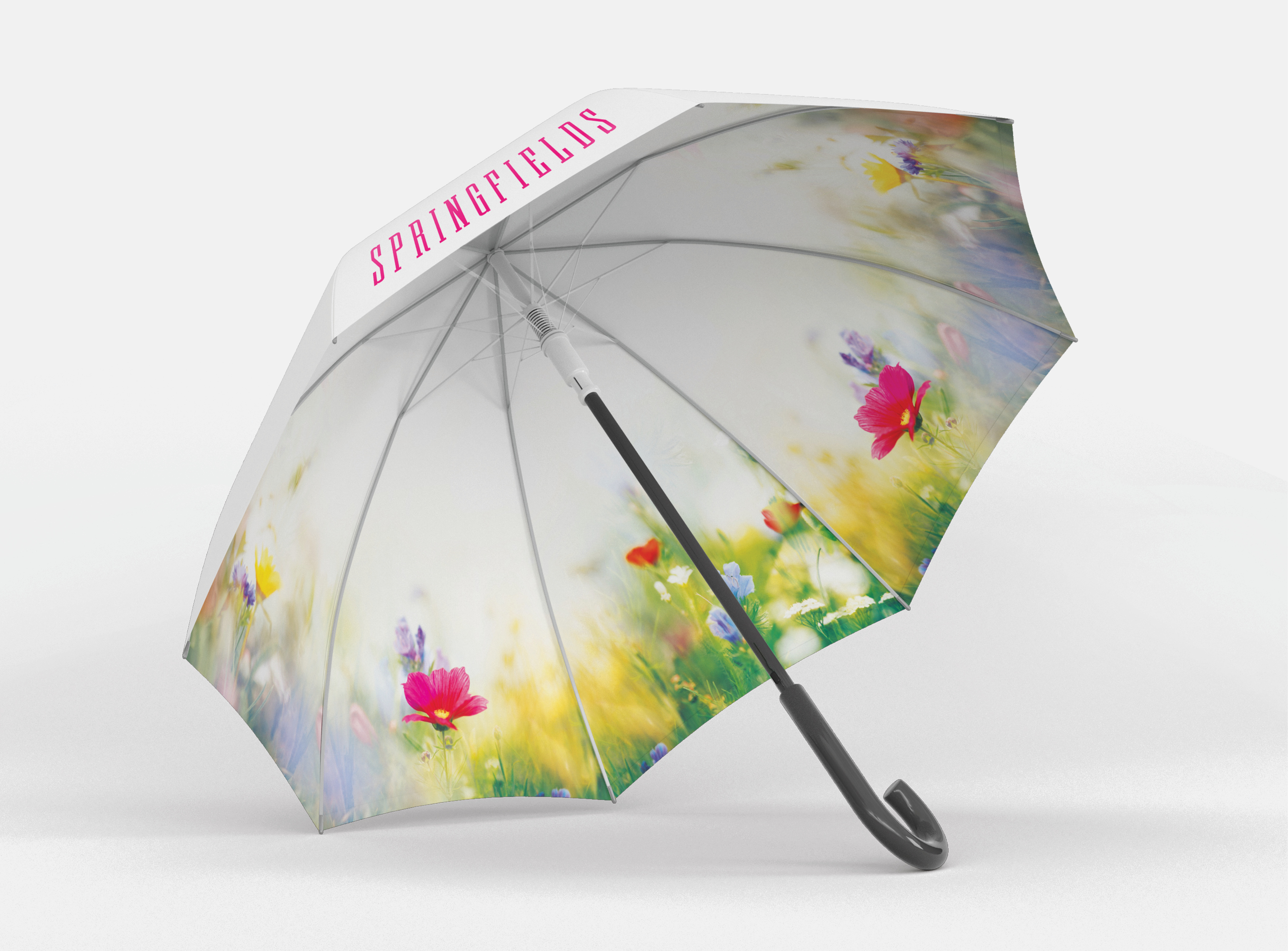 Springfields, Ashby de-la-zouch